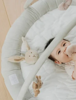 Diinglisar, Babygym