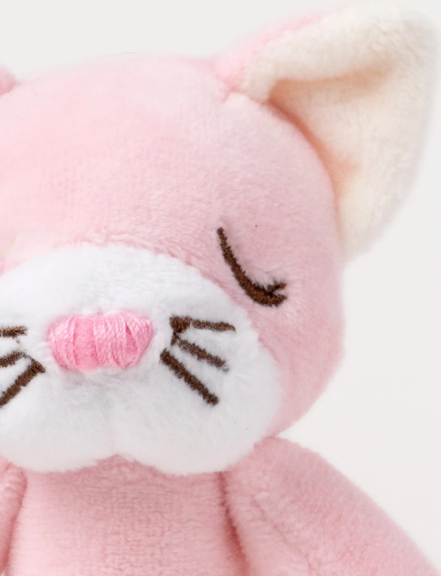 Diinglisar, Skallra, Katt, Rosa