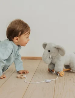 Dragdjur, Elefant