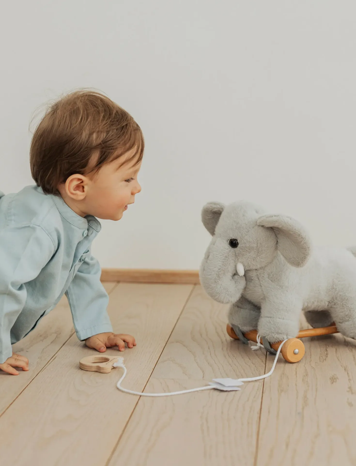 Dragdjur, Elefant