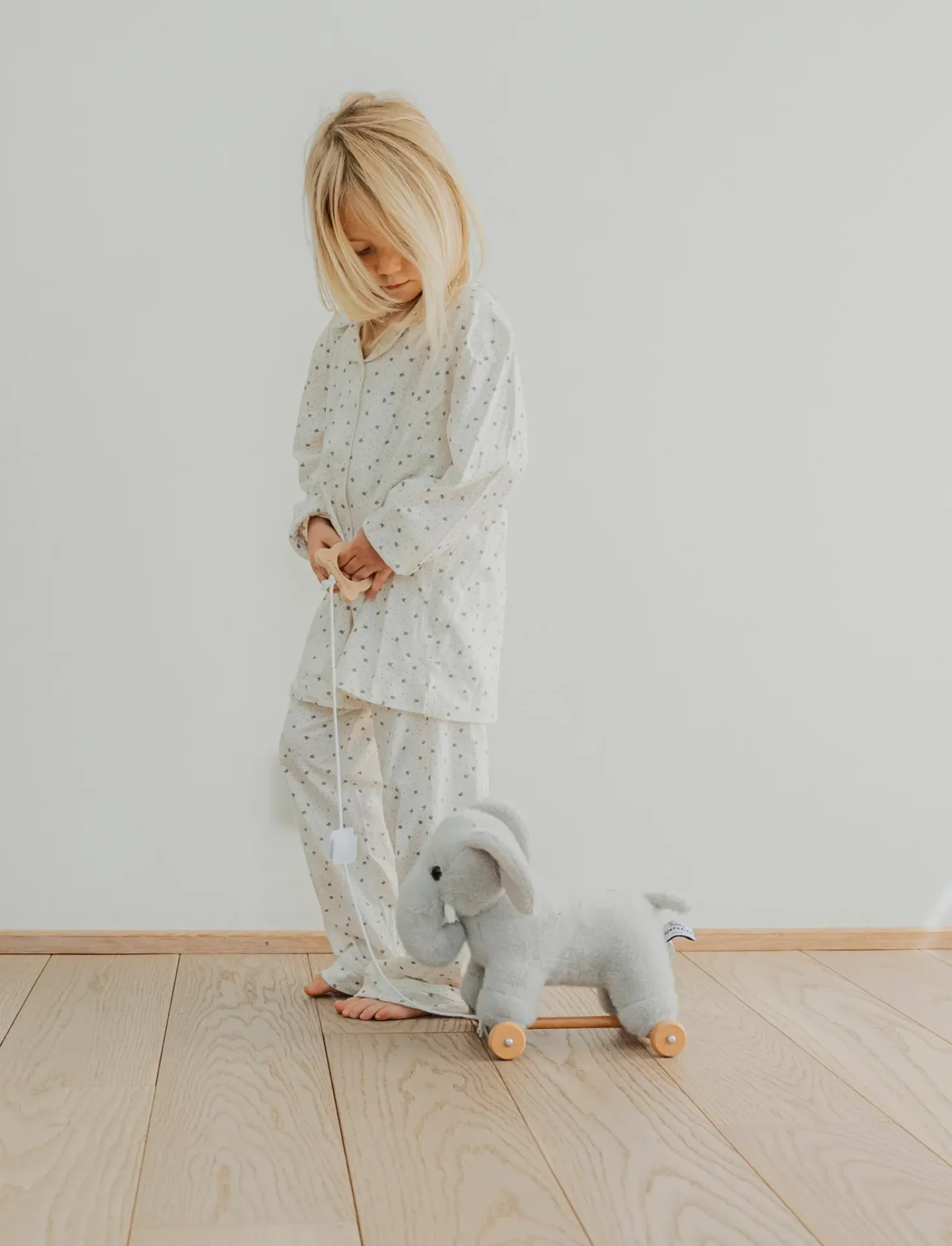 Dragdjur, Elefant
