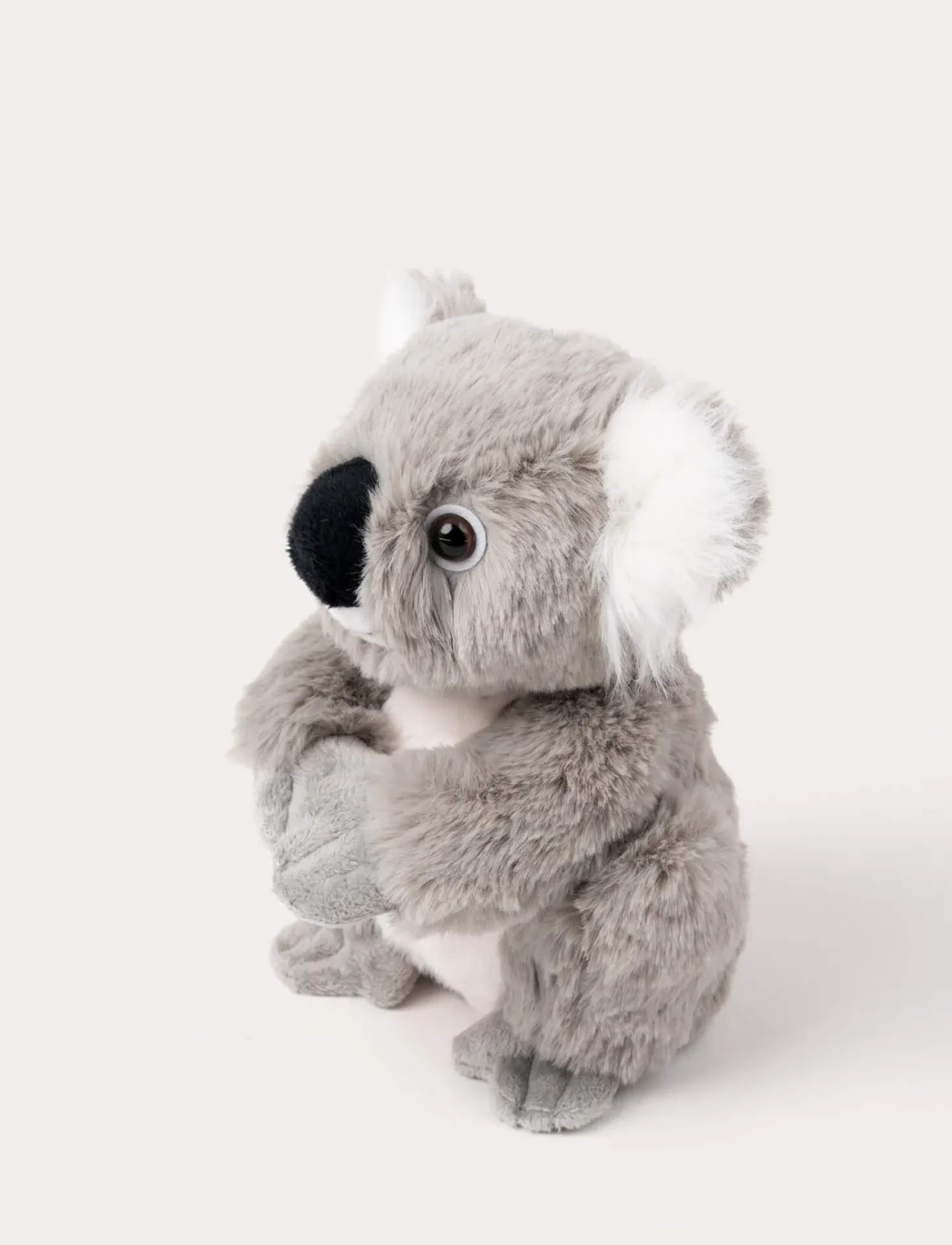Dreamies, Koala
