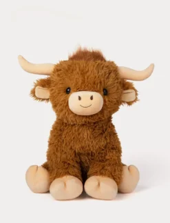 Highland Cow