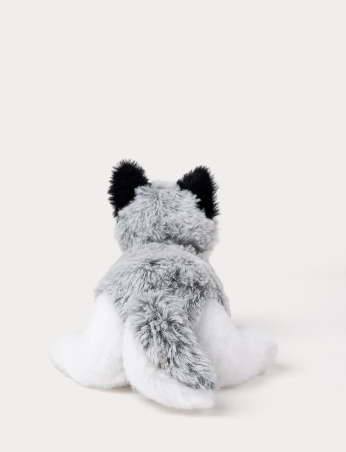 Husky