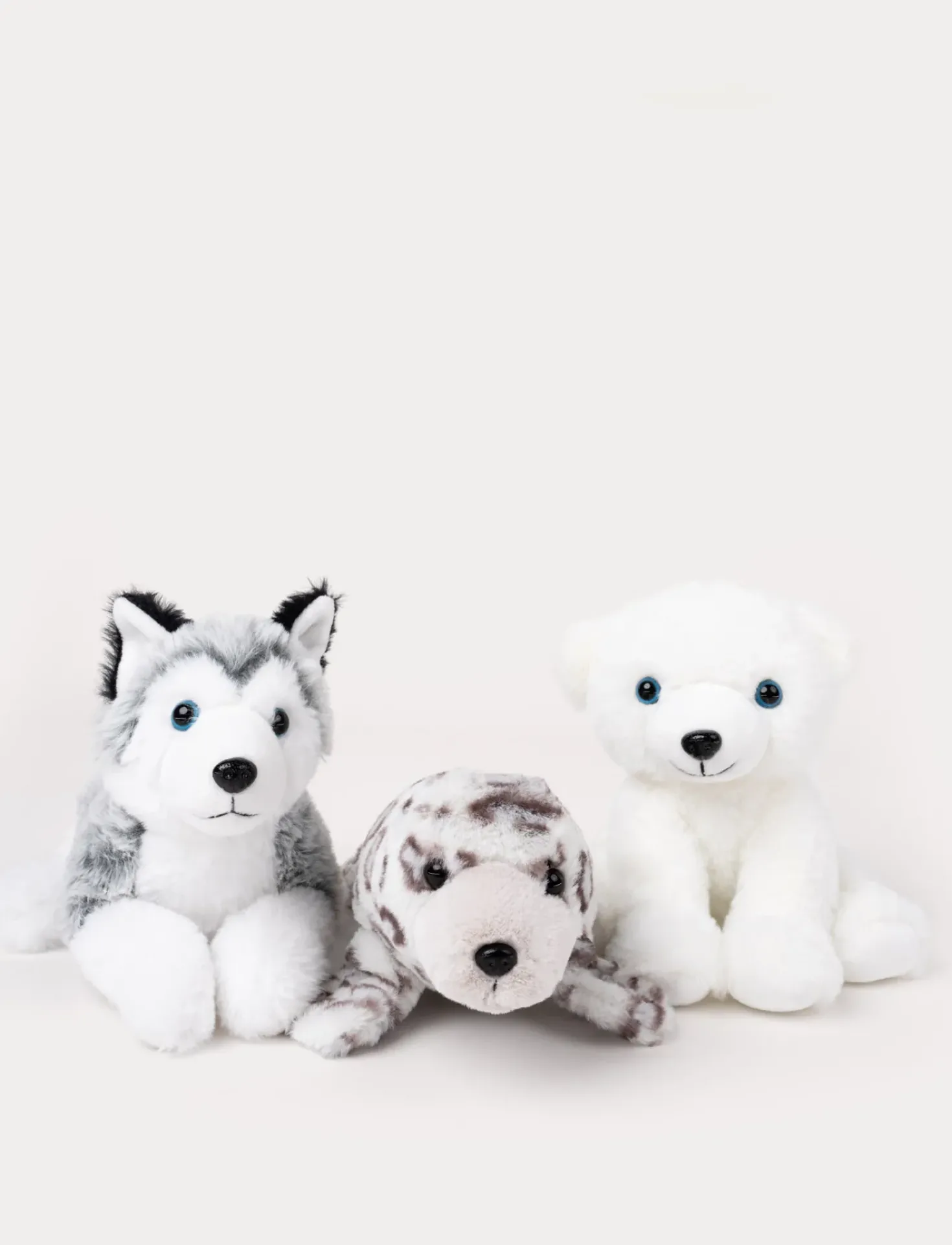Husky