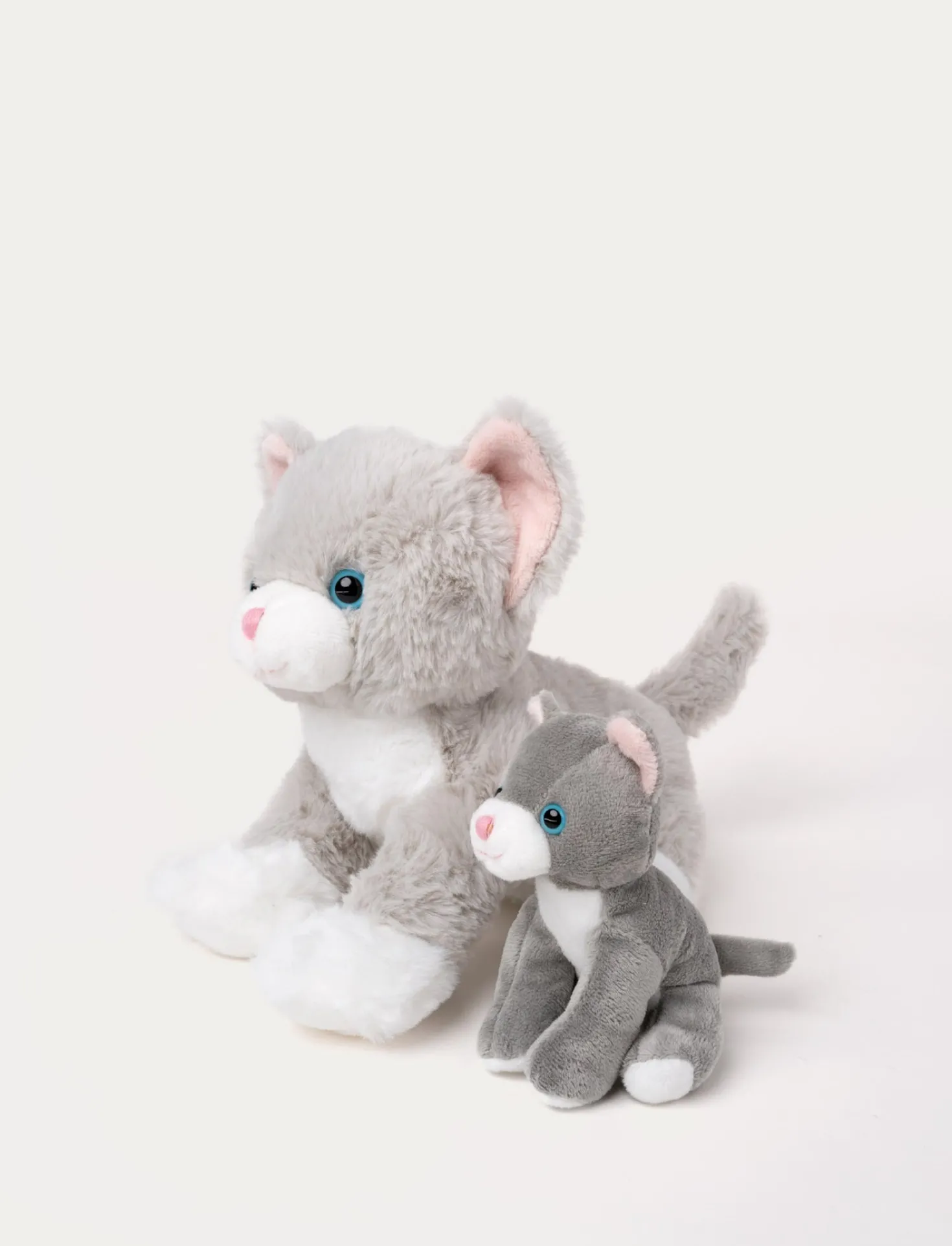 Katten Tuva med unge