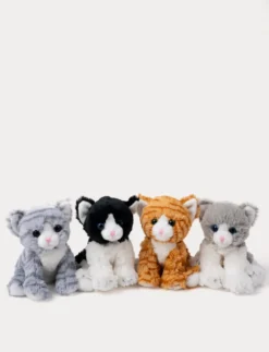 Kattkompisar, Mimmi, Orange