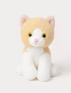 Kattungar, Beige