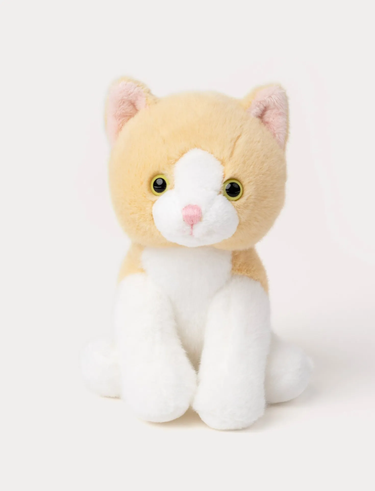 Kattungar, Beige
