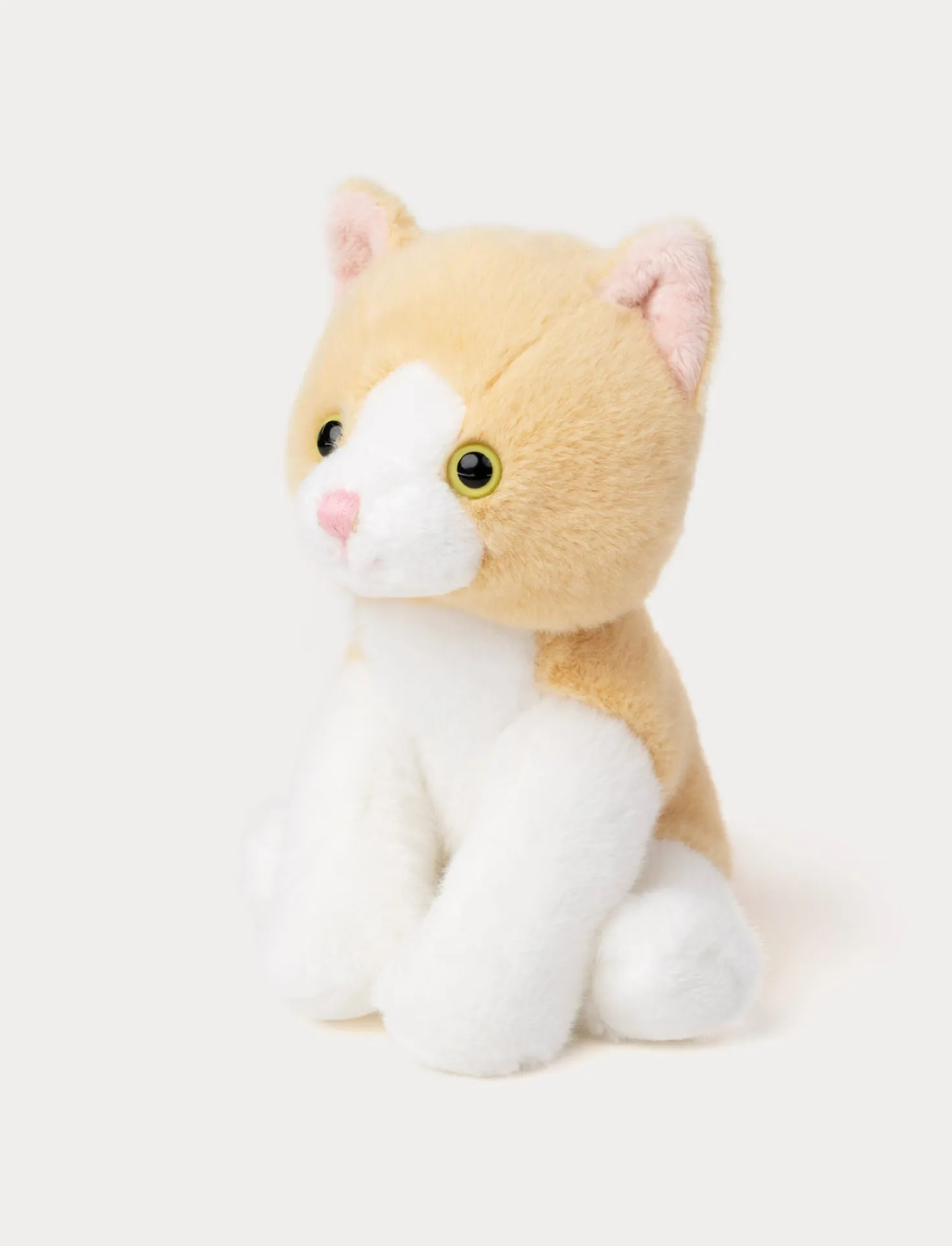 Kattungar, Beige