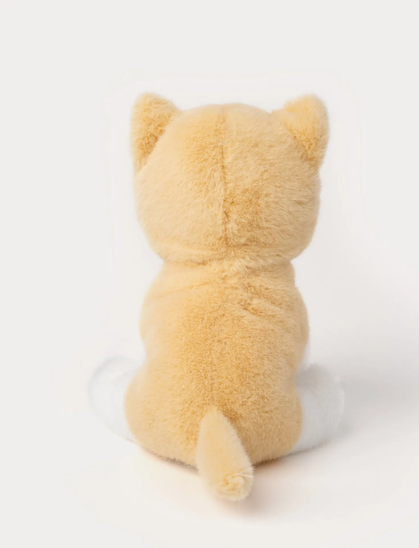 Kattungar, Beige