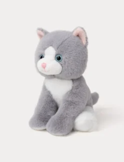 Kattungar, Grå