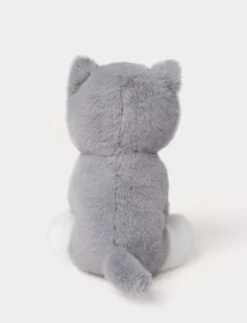 Kattungar, Grå