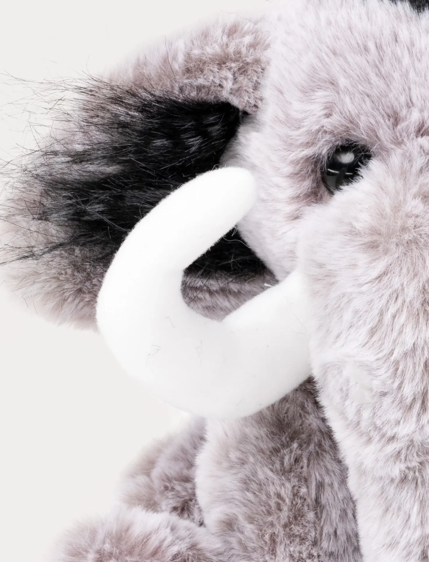 Max, Mammut