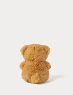 Nalle, Liten, Brun
