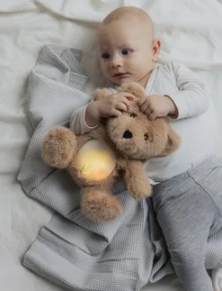 Nattlampa med ljud, Nalle