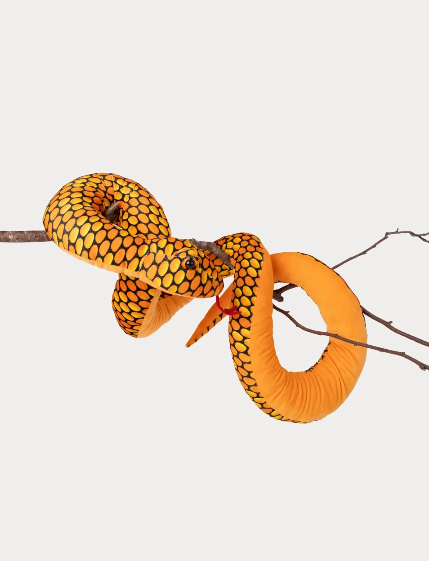 Orm, Orange
