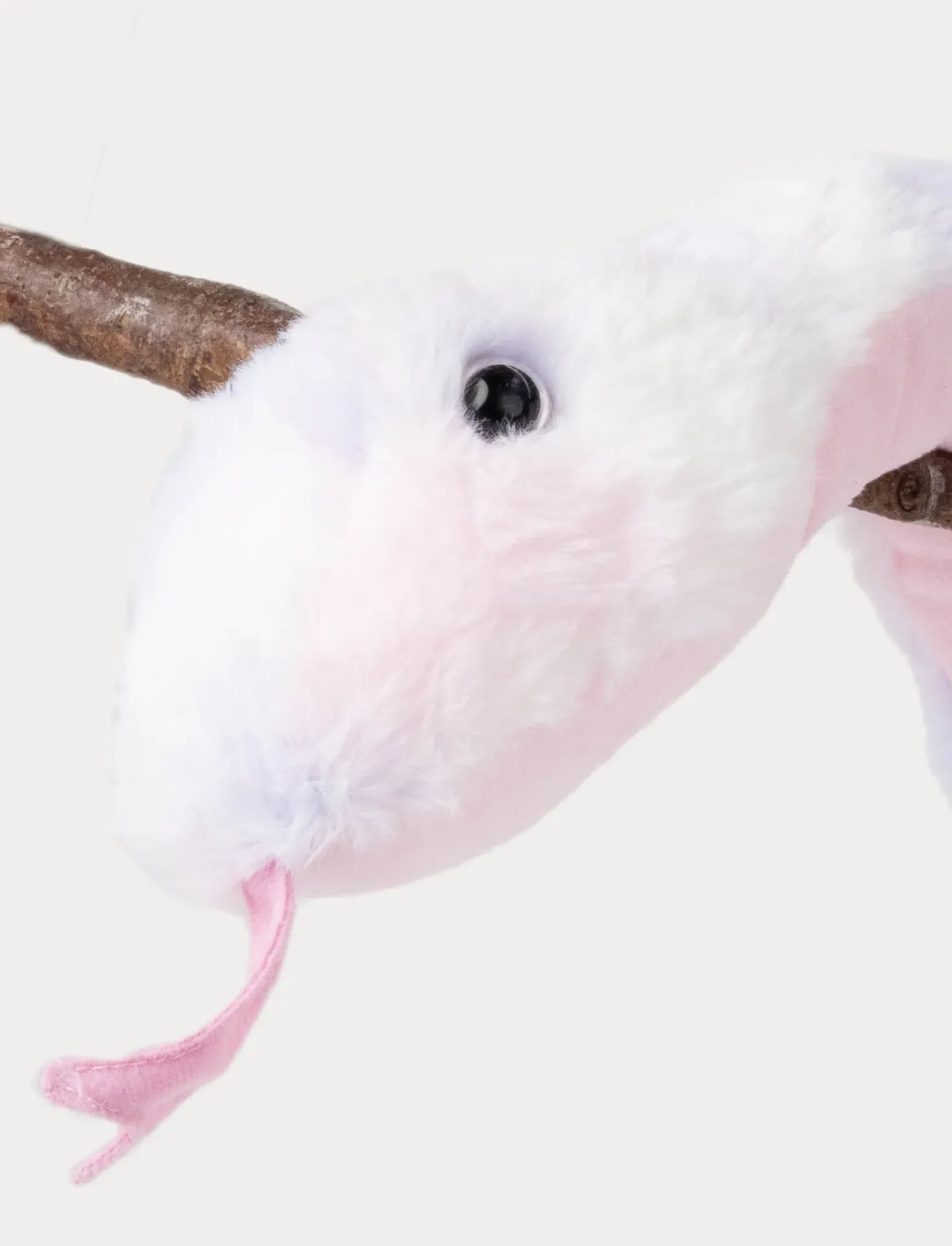 Orm, Regnbågsfärgad, Rosa