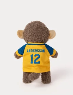Retro Pals, Apa med Landslagströja