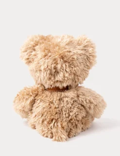 Roger, Nalle, Liten, Brun