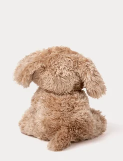 Selma, Hund, Liten, Brun