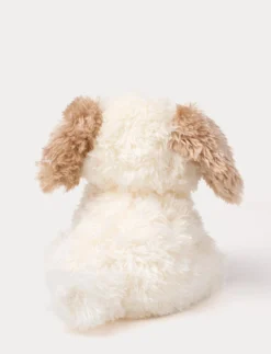 Selma, Hund, Liten, Vit