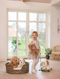 Selma, Hund, Stor, Vit