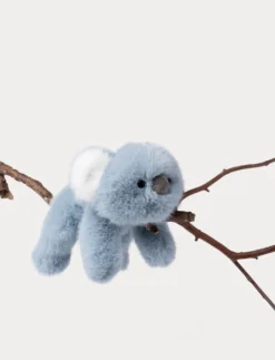 Soft Squad, Koala