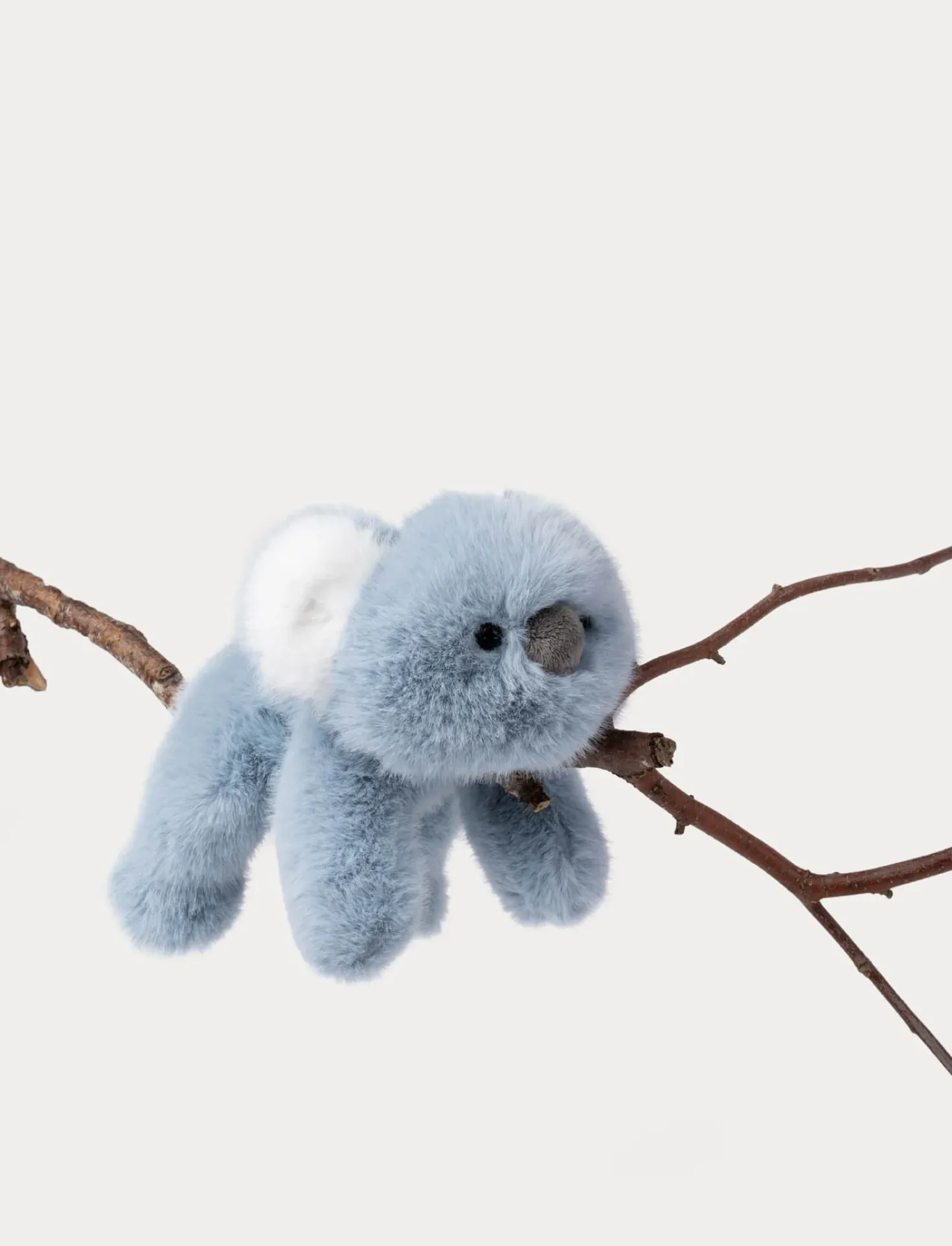 Soft Squad, Koala