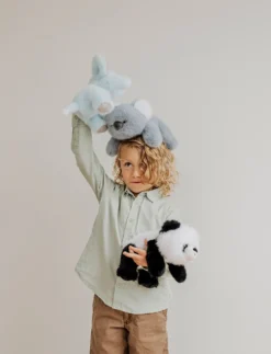 Soft Squad, Koala
