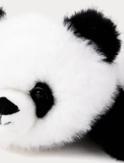 Soft Squad, Panda