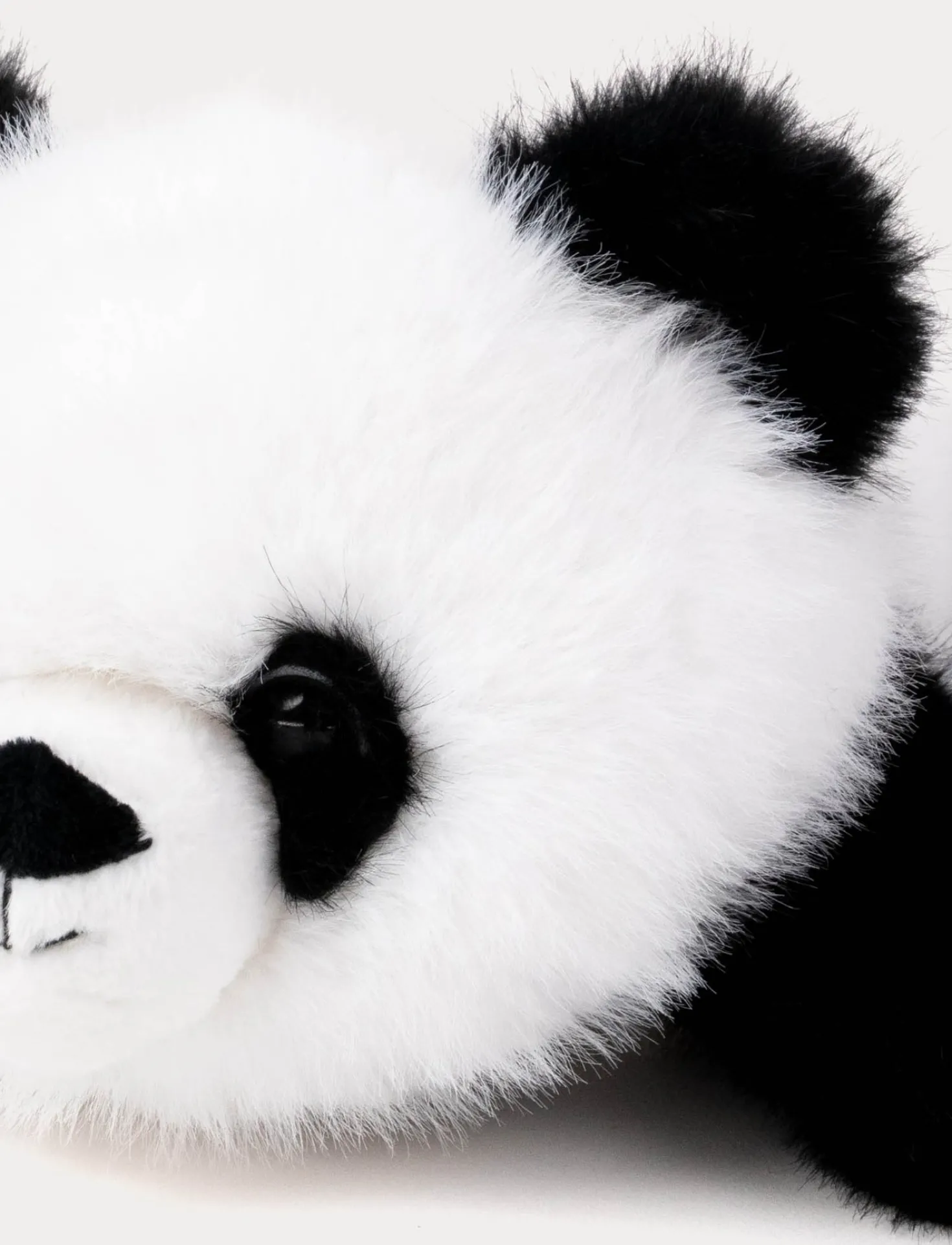 Soft Squad, Panda