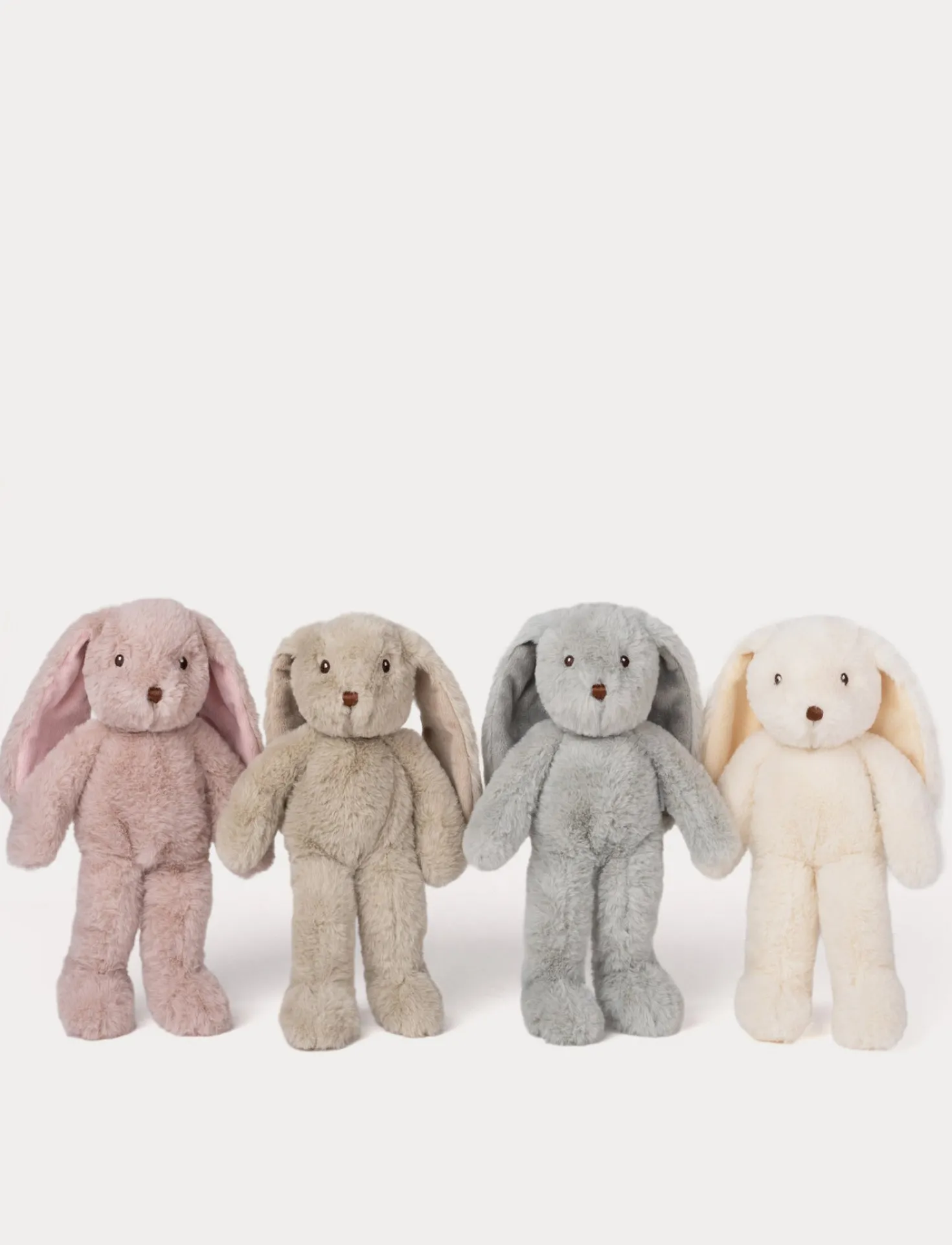 Svea, Kanin, Liten, Beige