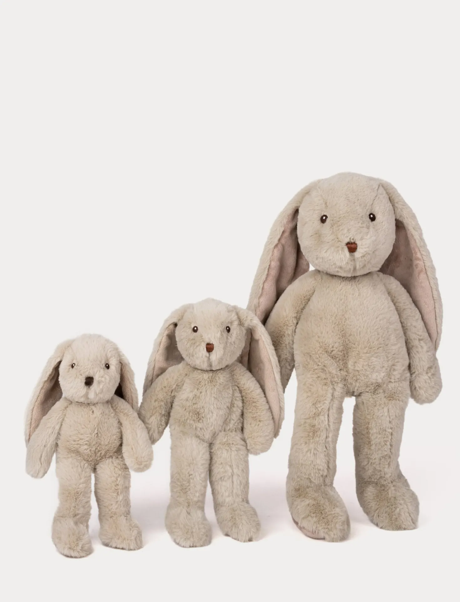 Svea, Kanin, Stor, Beige