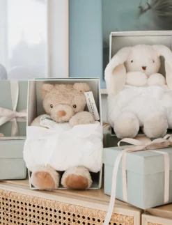 Sven med filt i presentbox