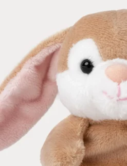 Teddy Bunnies, Liten, Brun