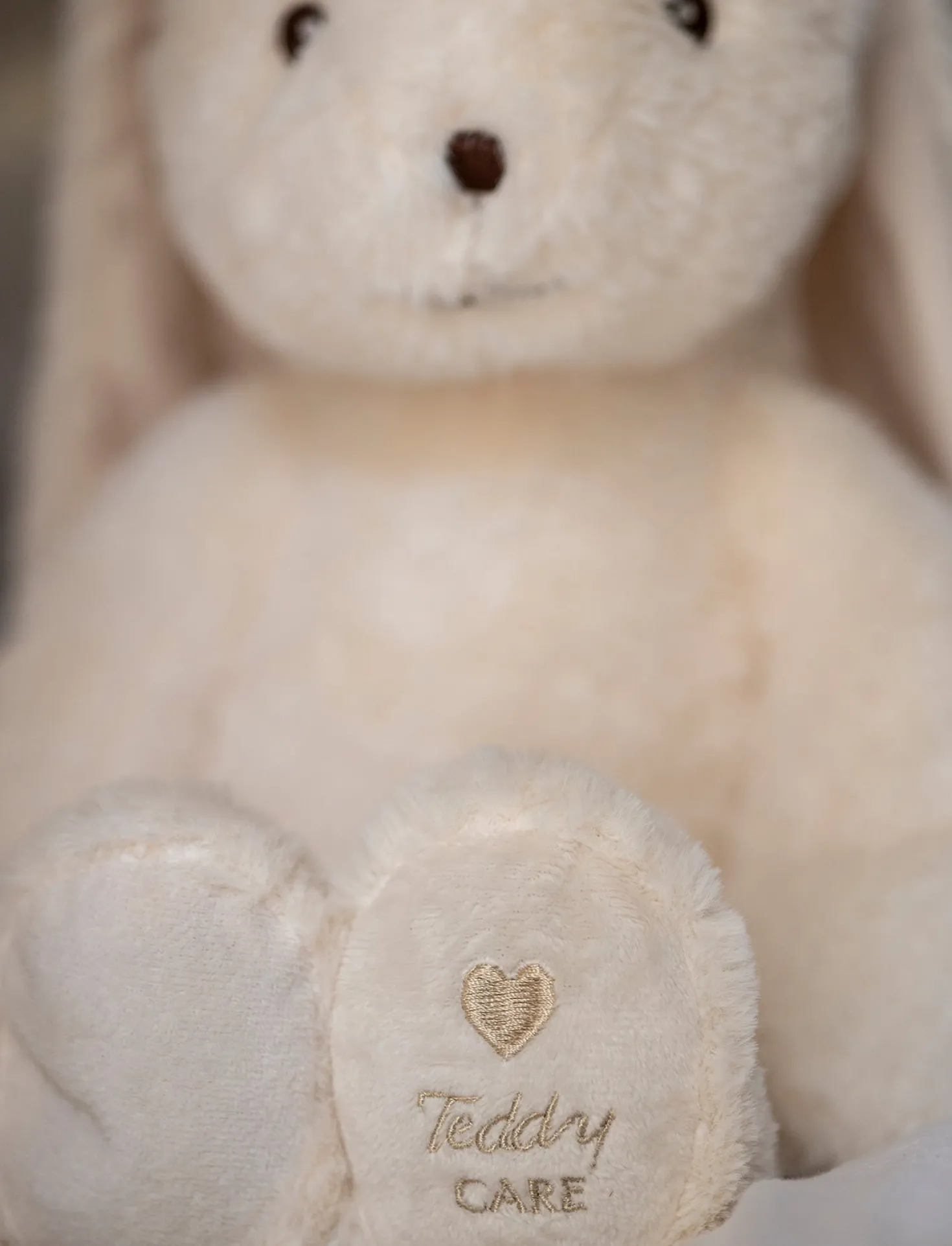 Teddy Care, Tyngddjur, Svea, Kanin