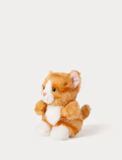 Teddy Cats, Liten, Orange