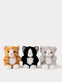 Teddy Cats, Trio