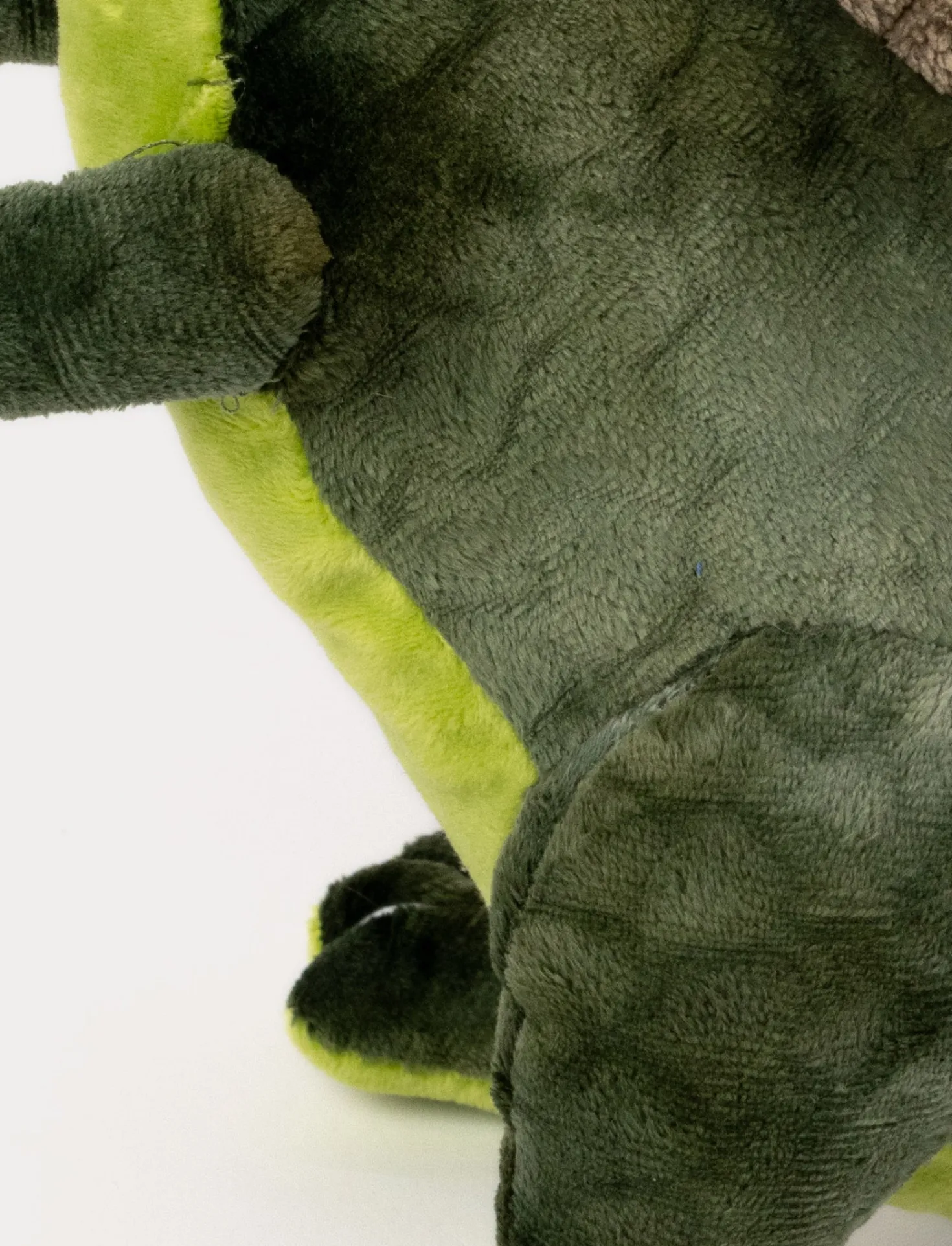 Teddy Dino