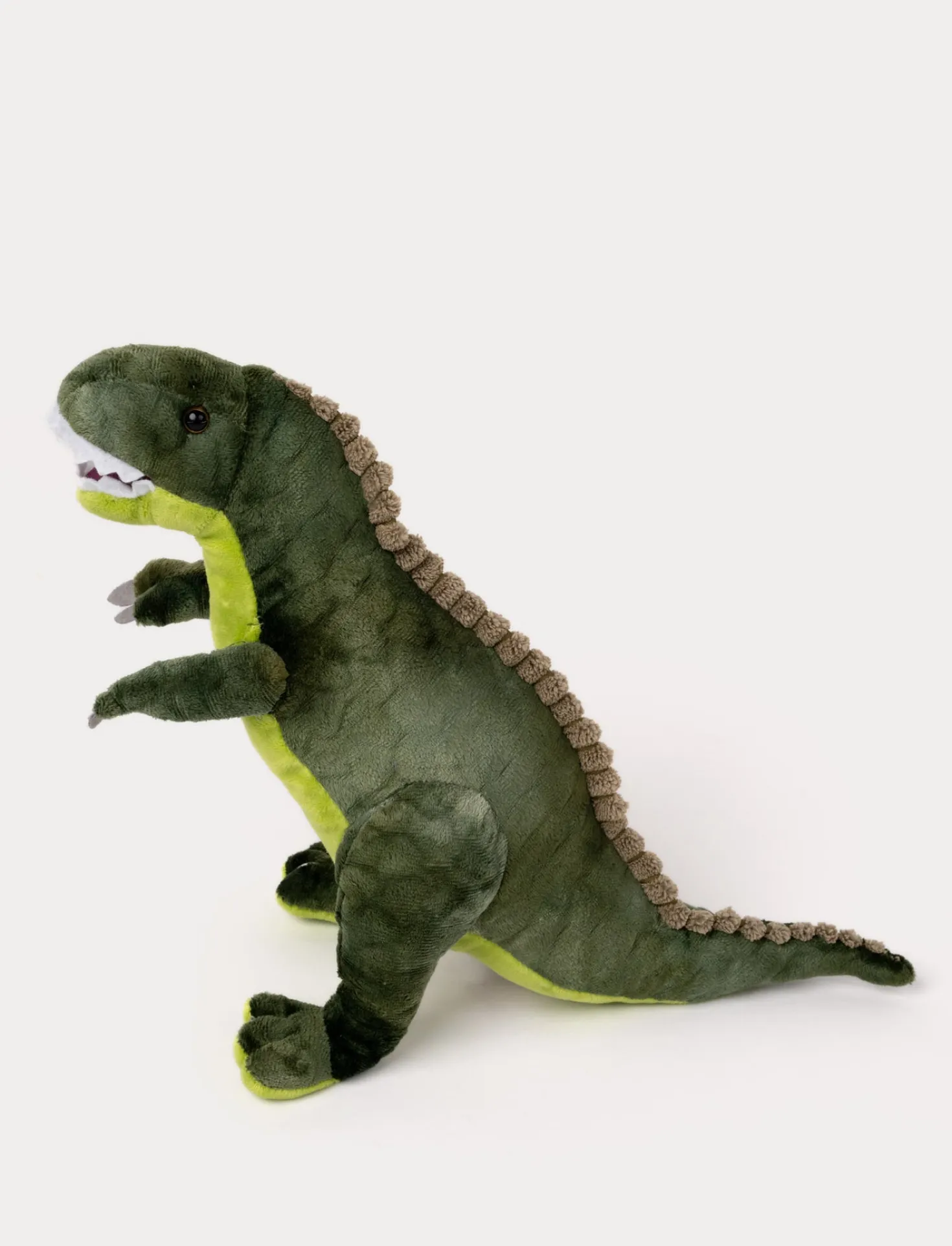 Teddy Dino