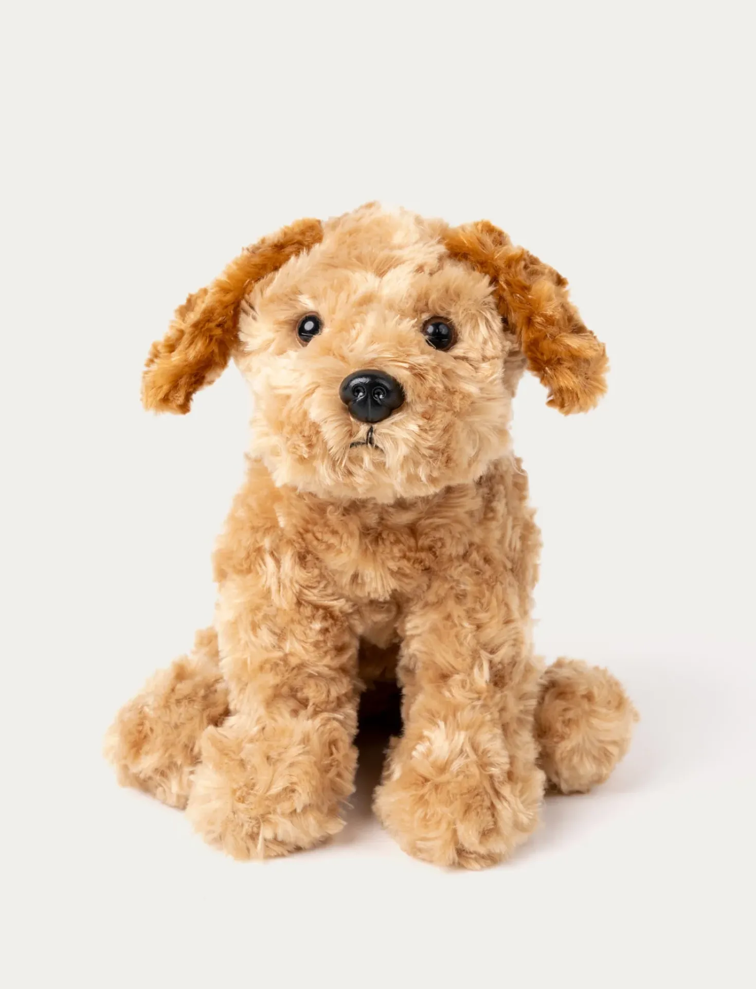 Teddy Dogs, Hund, Beige