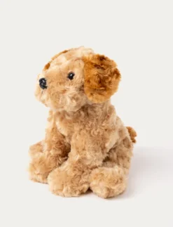 Teddy Dogs, Hund, Beige