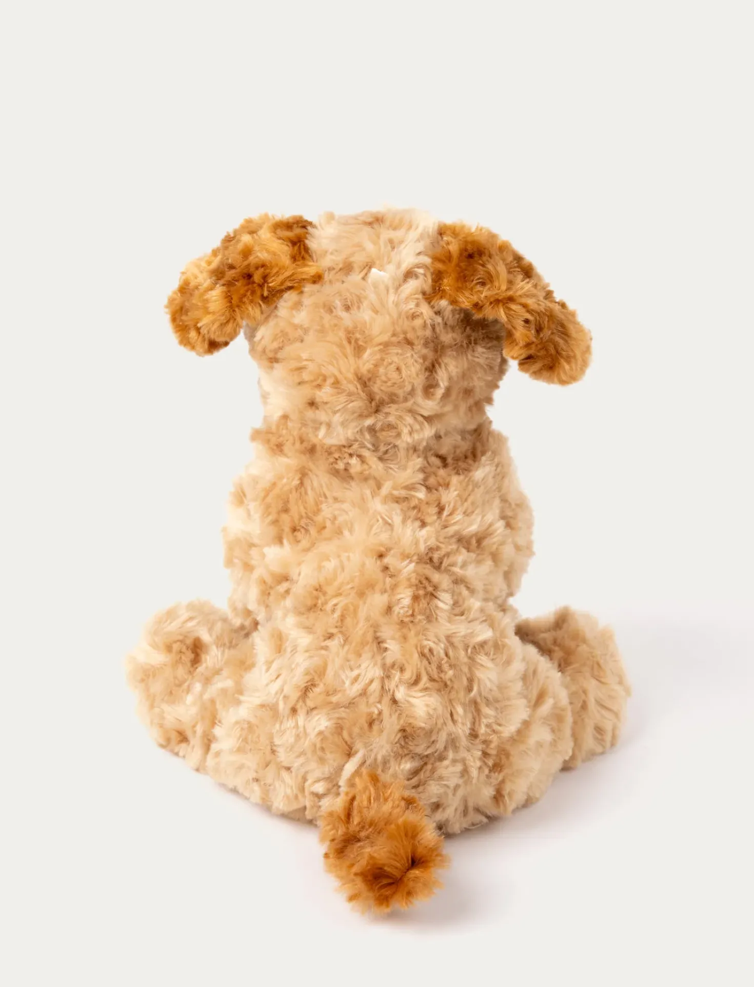 Teddy Dogs, Hund, Beige