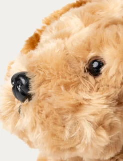 Teddy Dogs, Hund, Beige