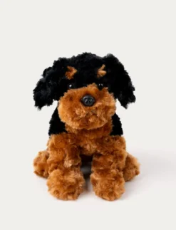 Teddy Dogs, Hund, Brun