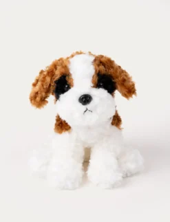 Teddy Dogs, Hund, Vit
