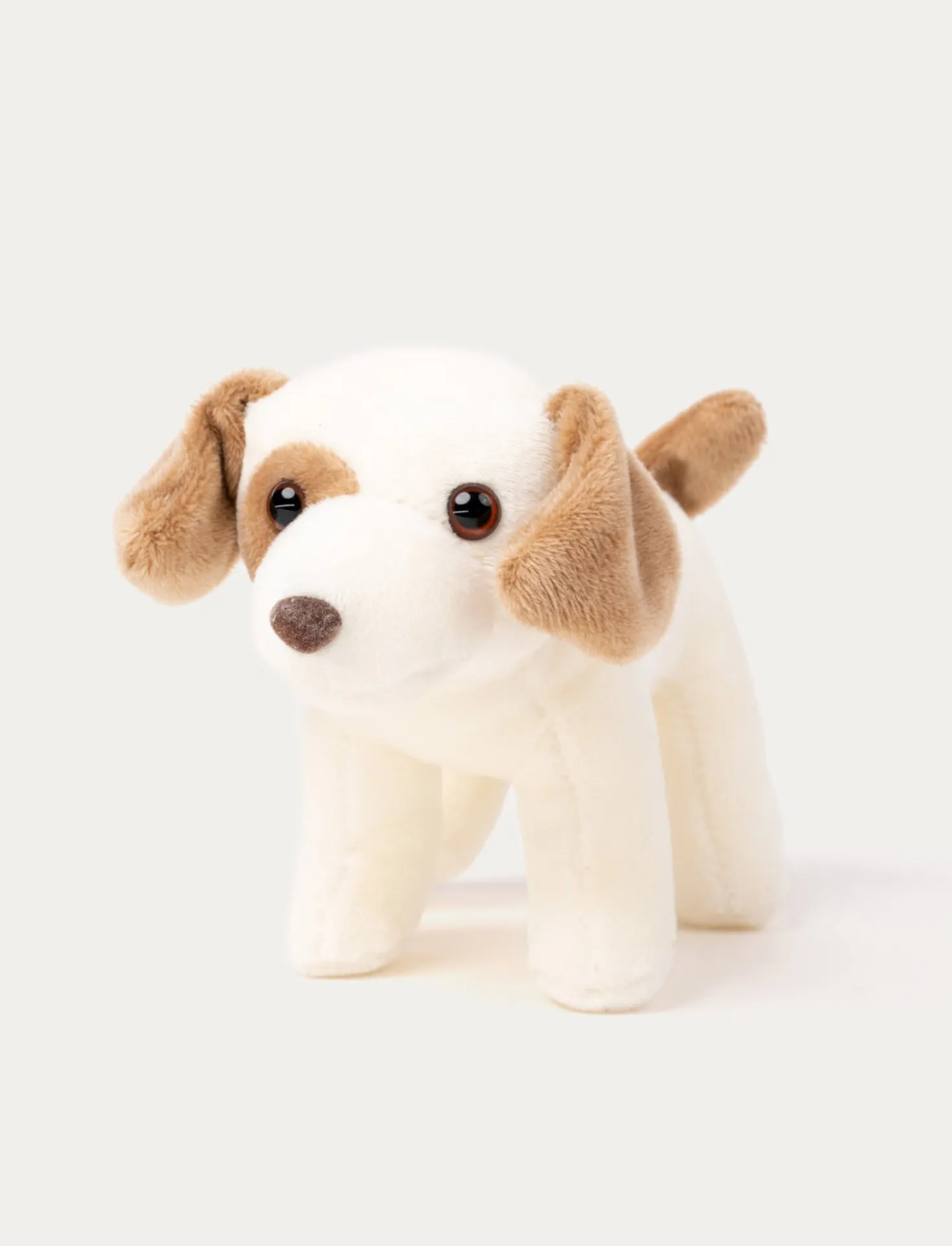 Teddy Dogs, Lekset