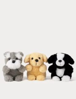 Teddy Dogs, Trio