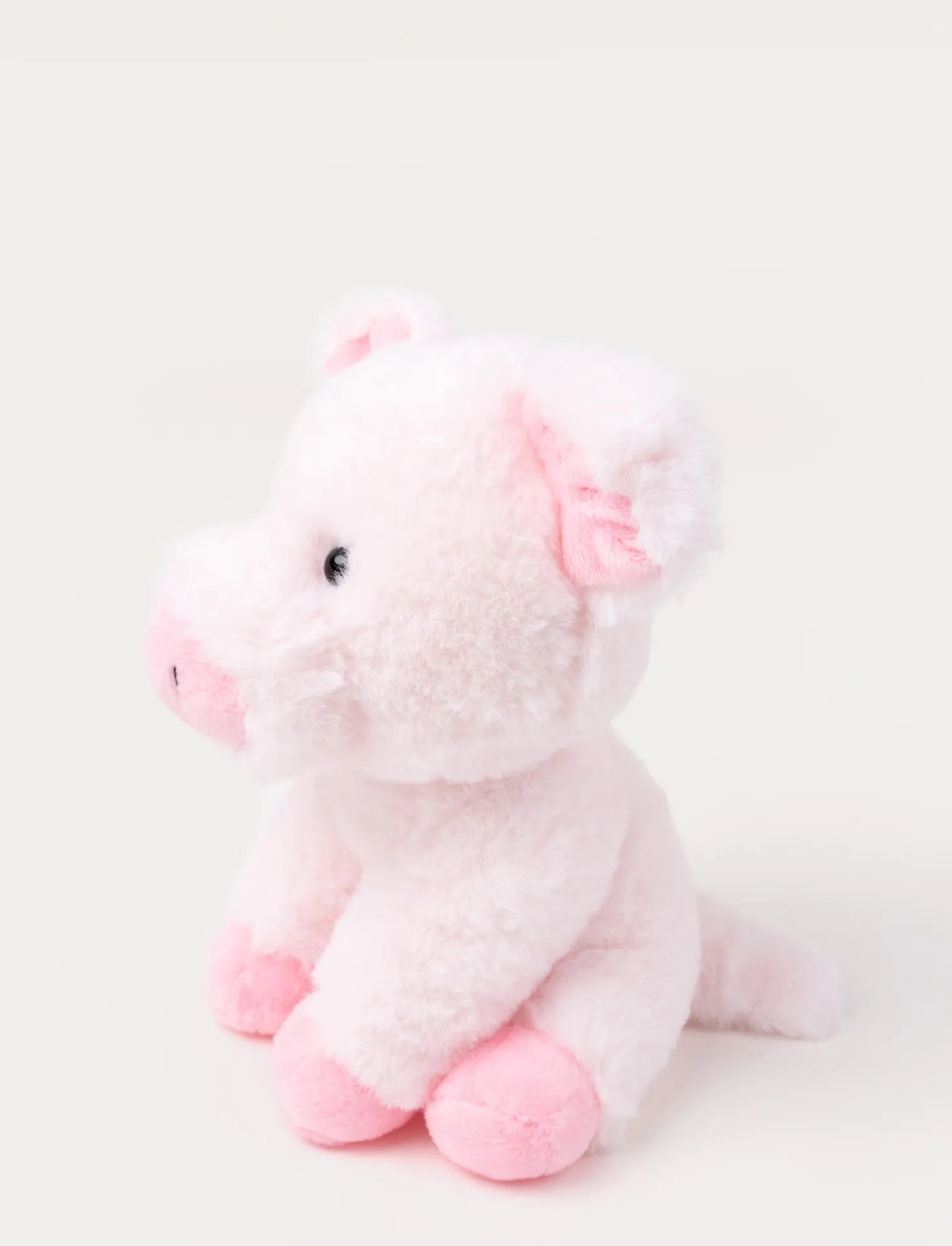 Teddy Farm, Sittande gris